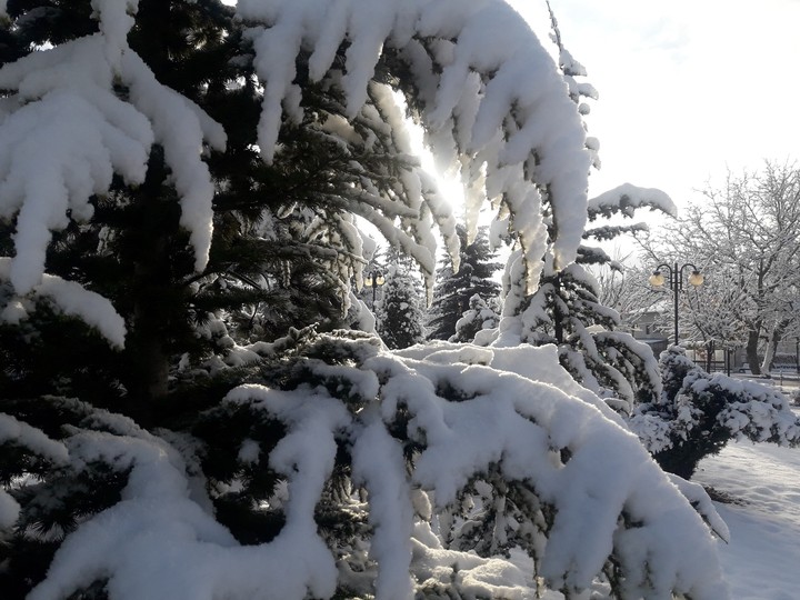 Snow