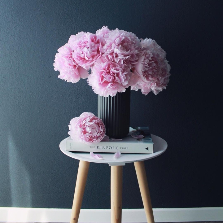 Peonies in vase