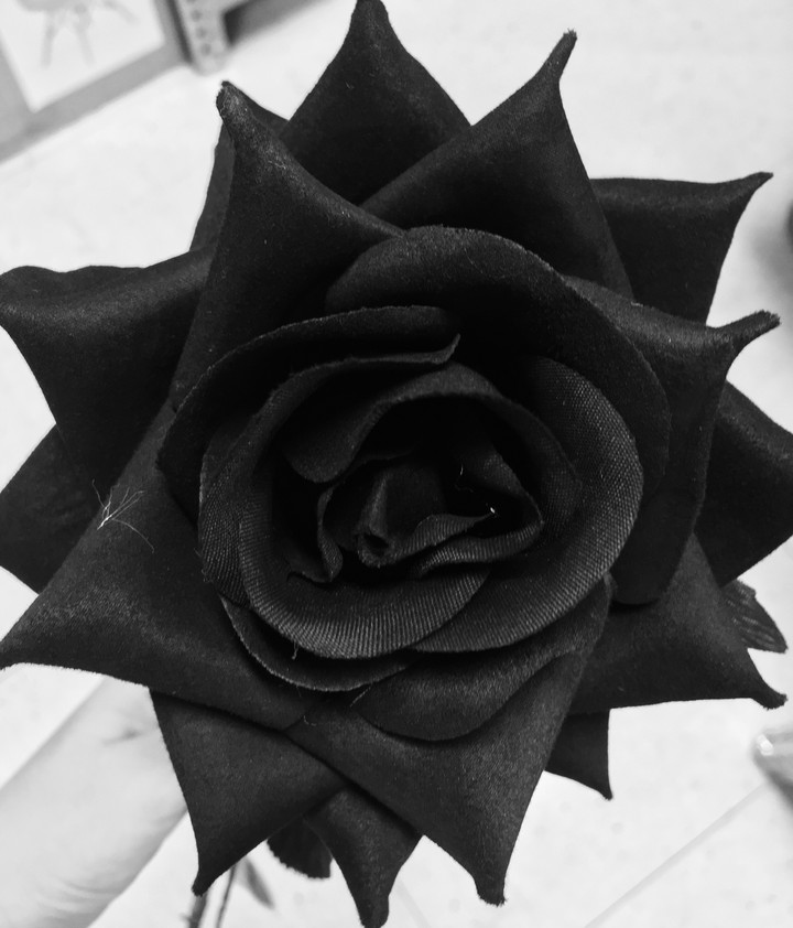 Rosa