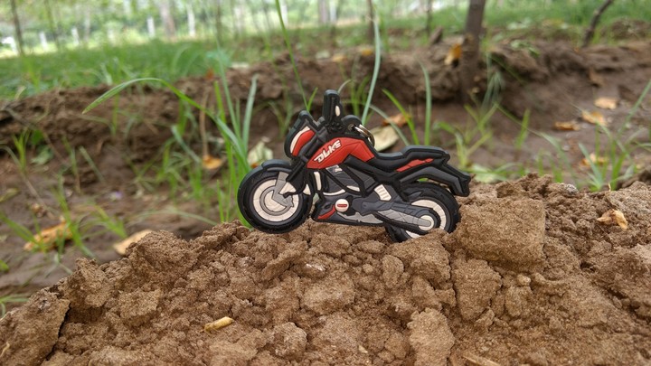 Bike Lover...