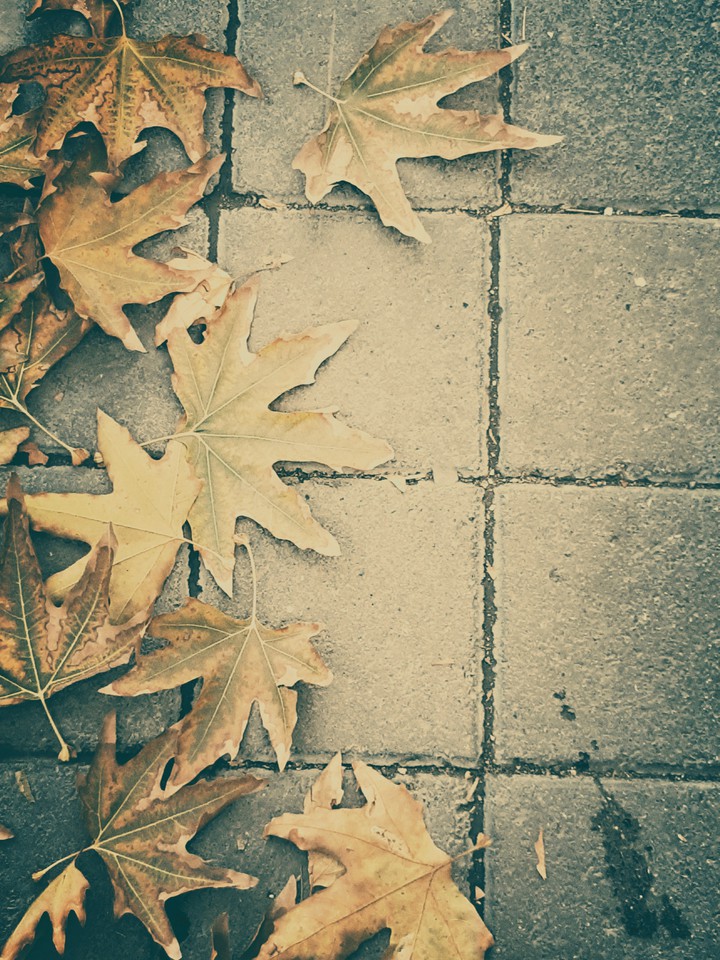 پائیز