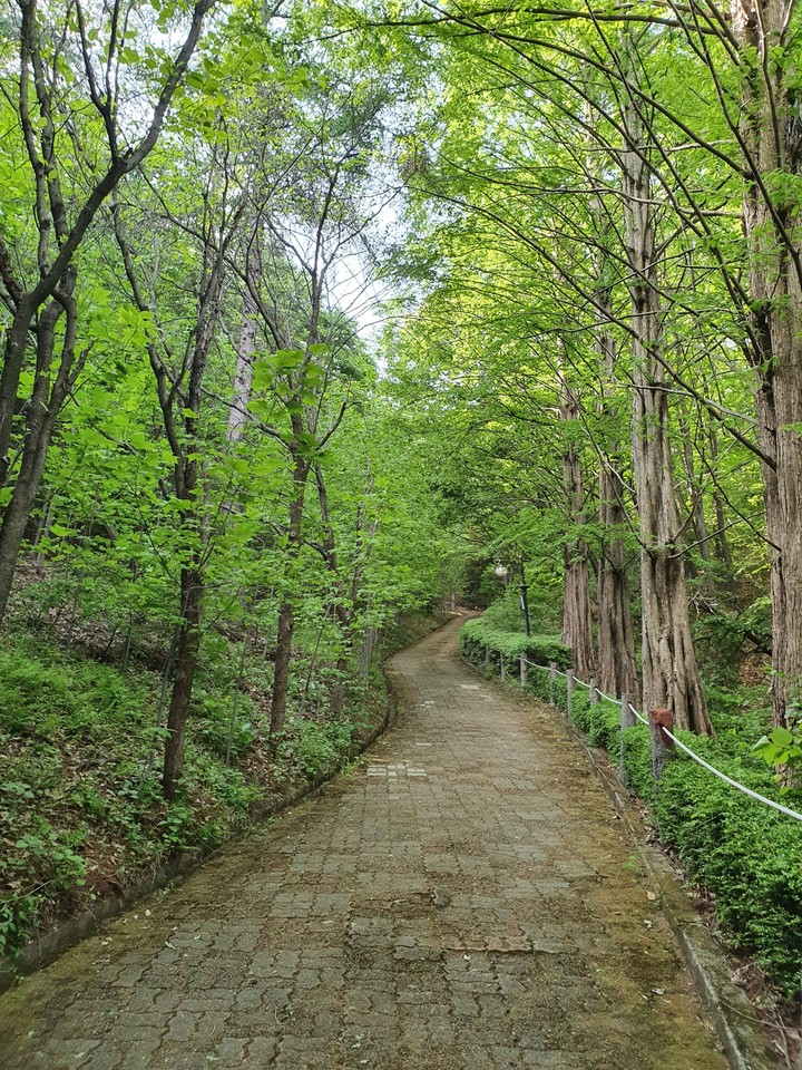 Trees><