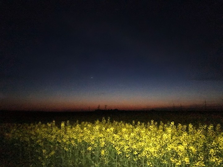Поле