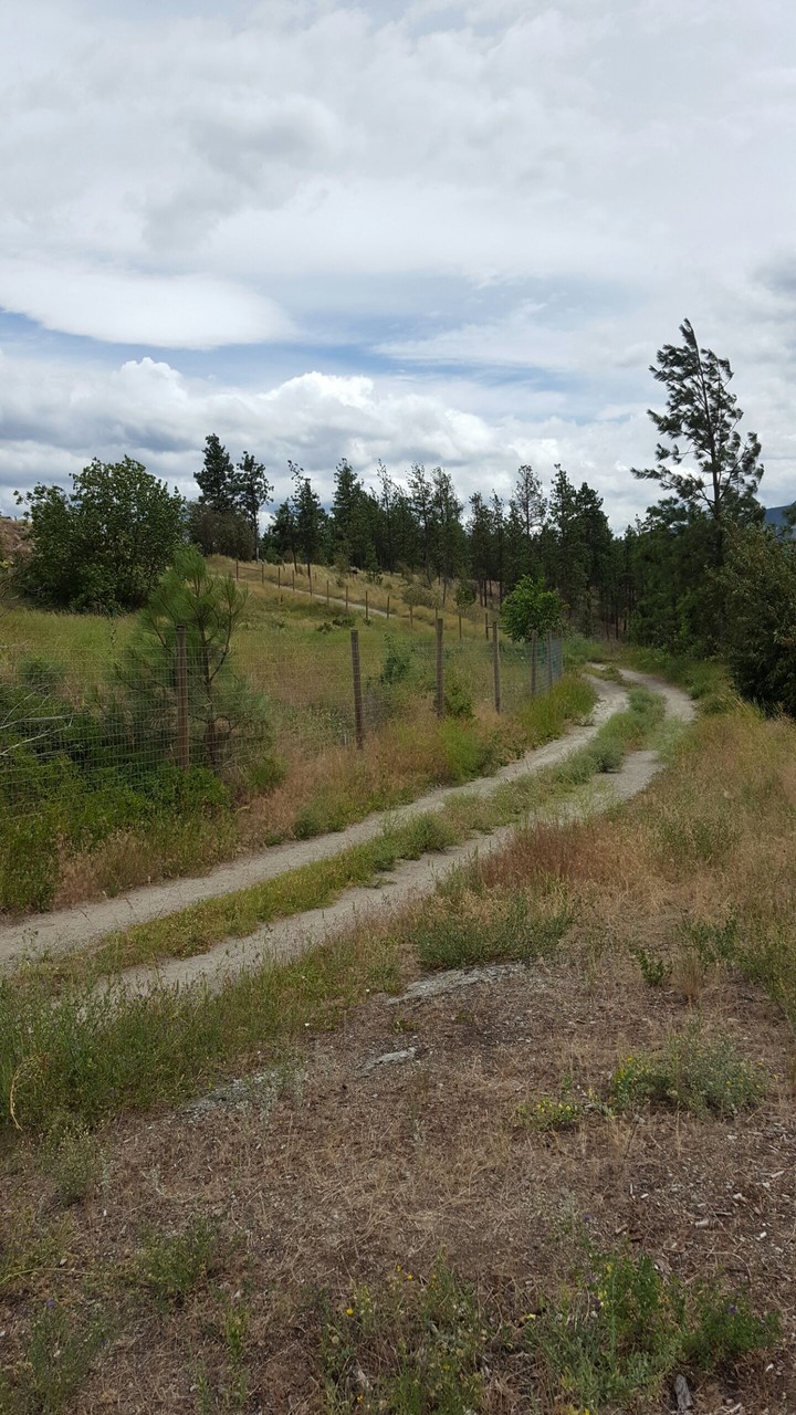 Knox Mountain