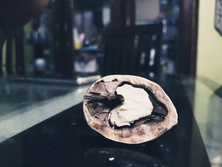 Heart in a shell