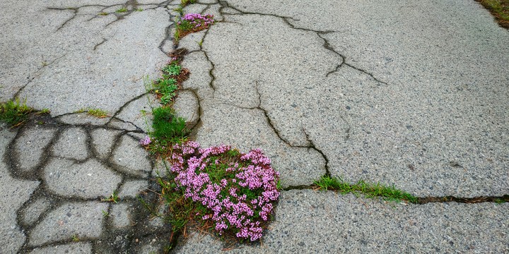 Road
