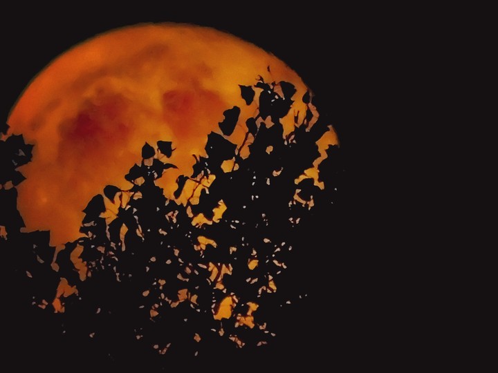 red moon