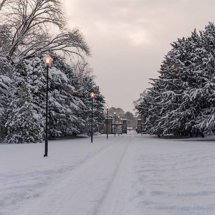 snow