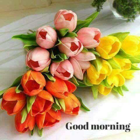 #goodmorning