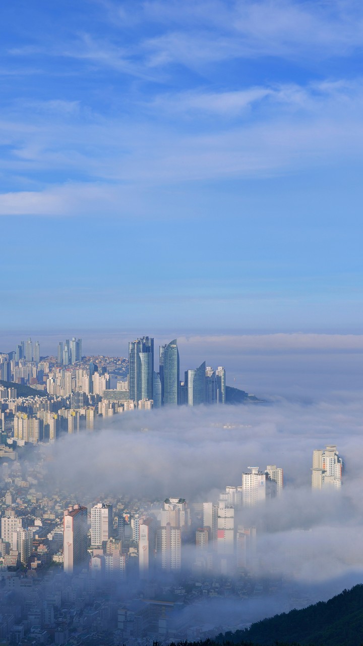 City in the Fog