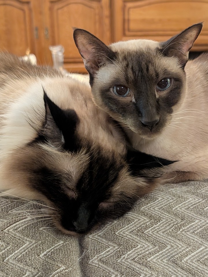 ✨♥️ Bill & Miyabi ♥️✨