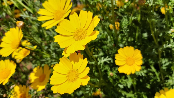 Nature's best