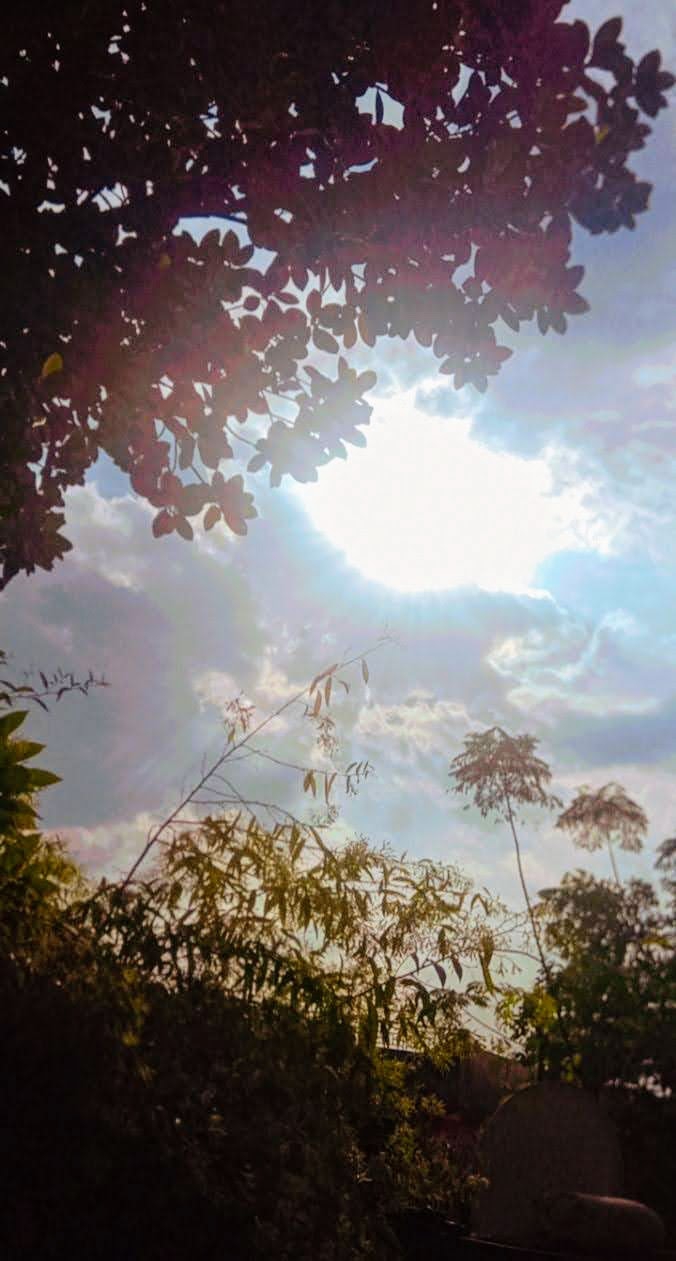 Afternoon