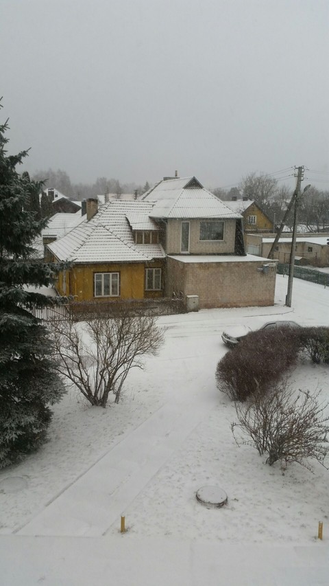 Winter