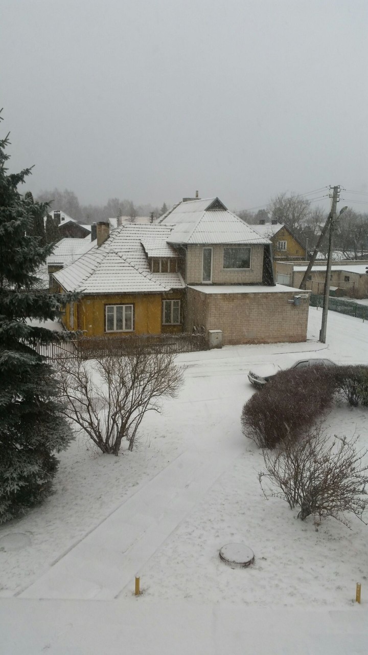 Winter