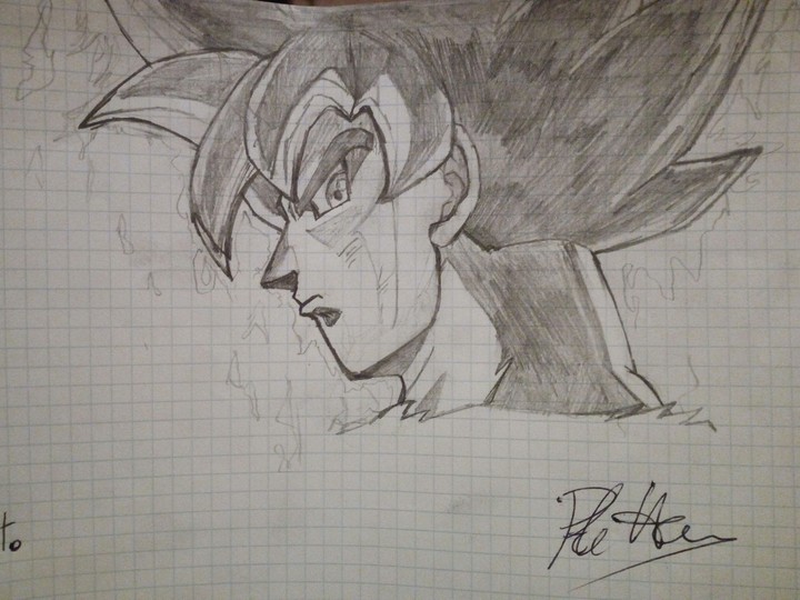 Goku Ultra Istinct drawn by me
