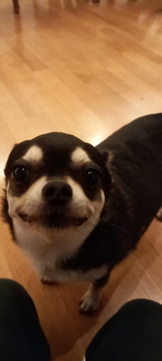 .