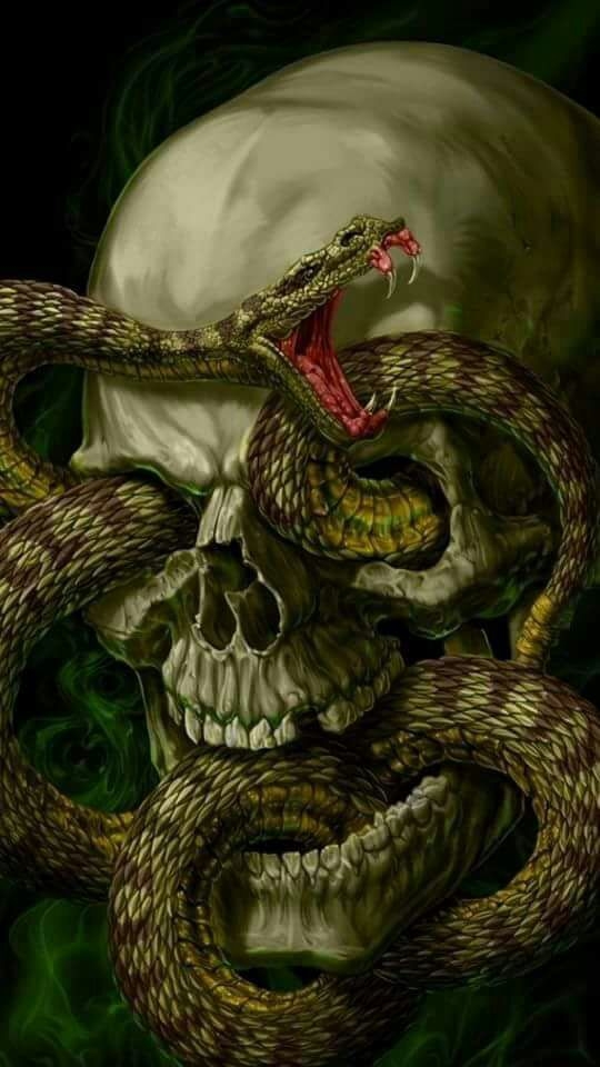 skull