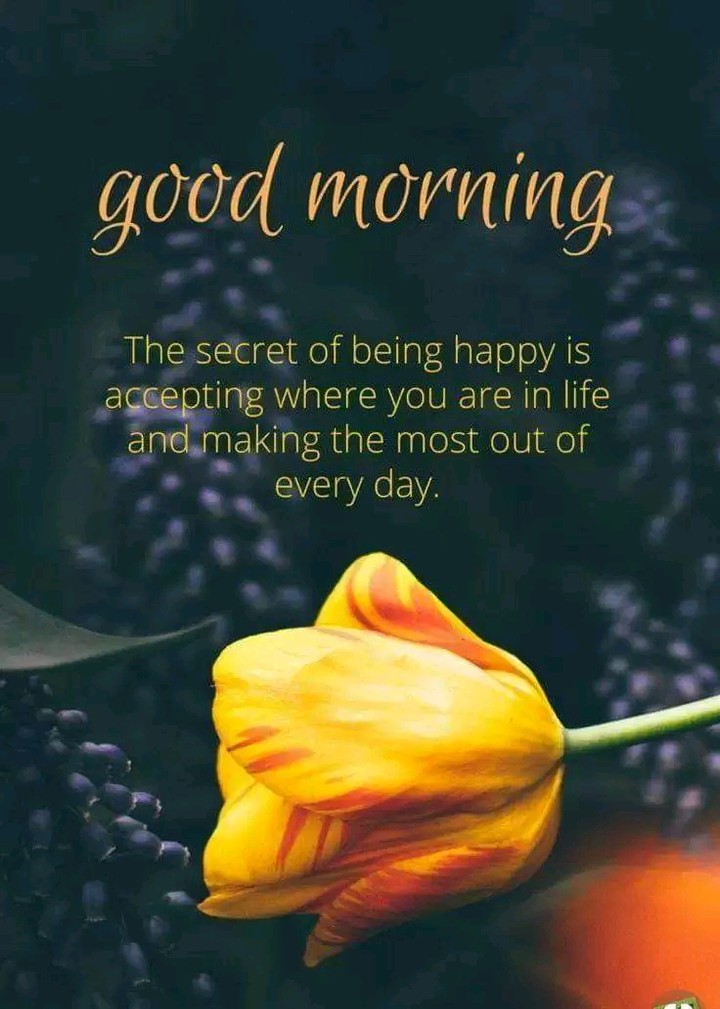 good morning