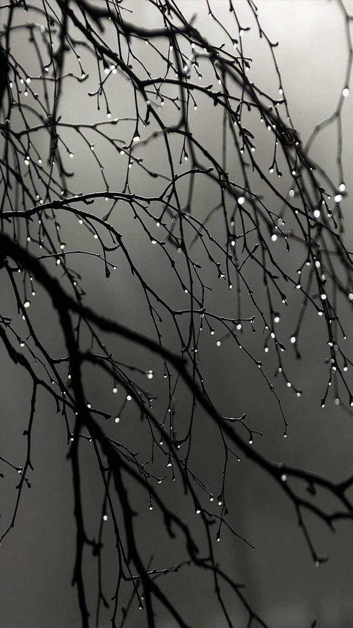 raining