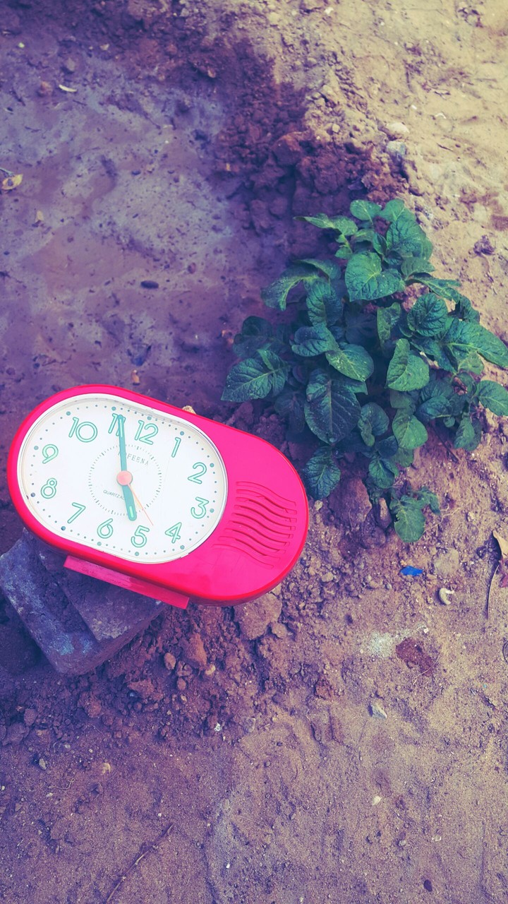 nice clock