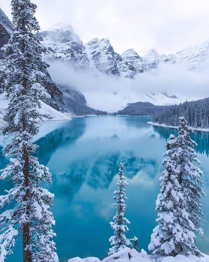 winter
