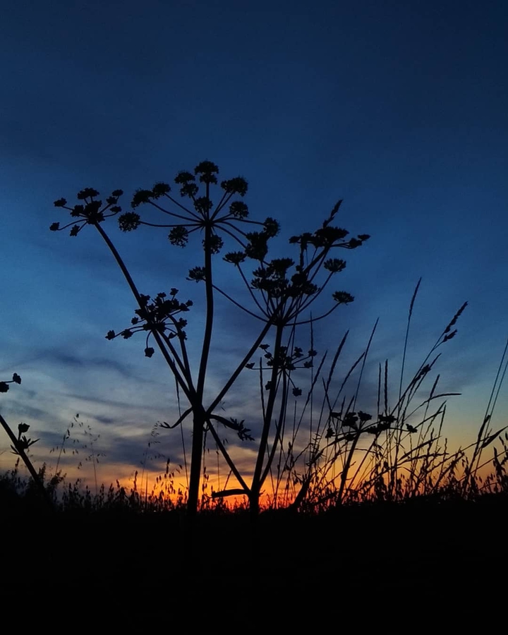 #Eveningview