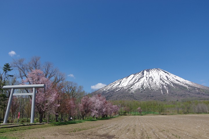 Mt.Yotei