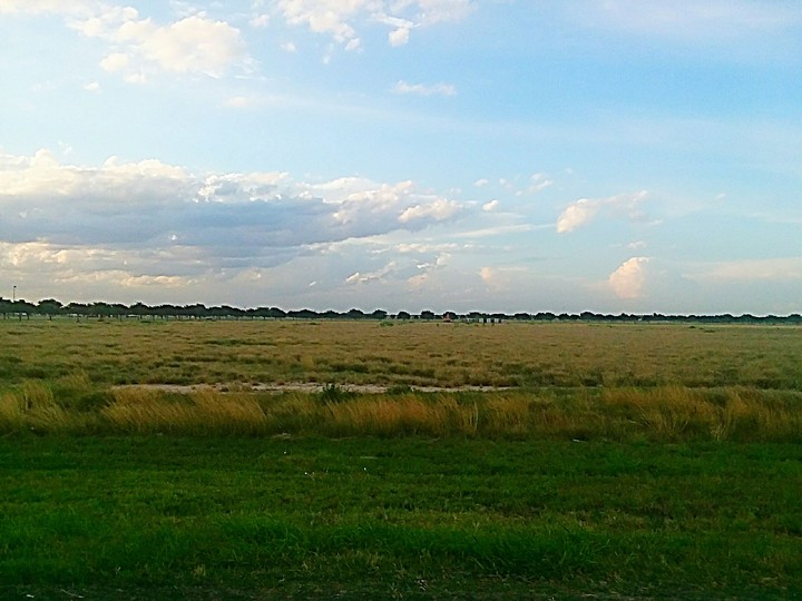 Road trip