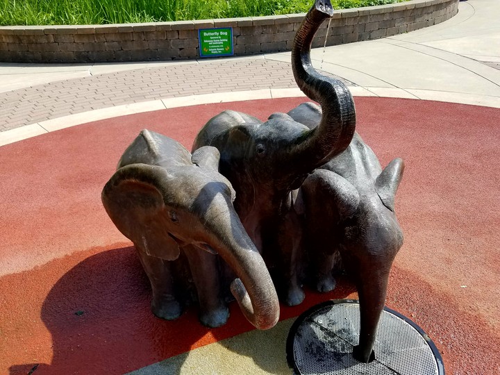 Elephants​ greeting you... 
