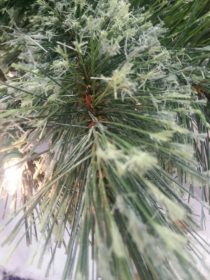 Christmas tree
