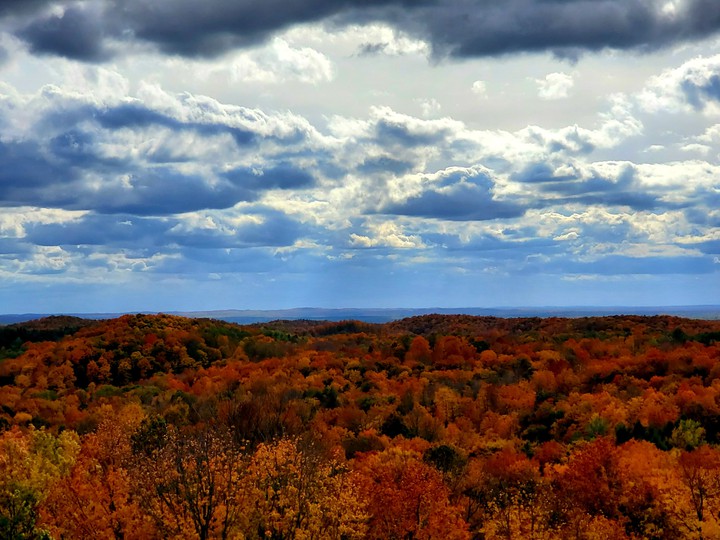 Fall on Timm's Hill