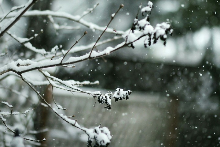 A unit of snowfall