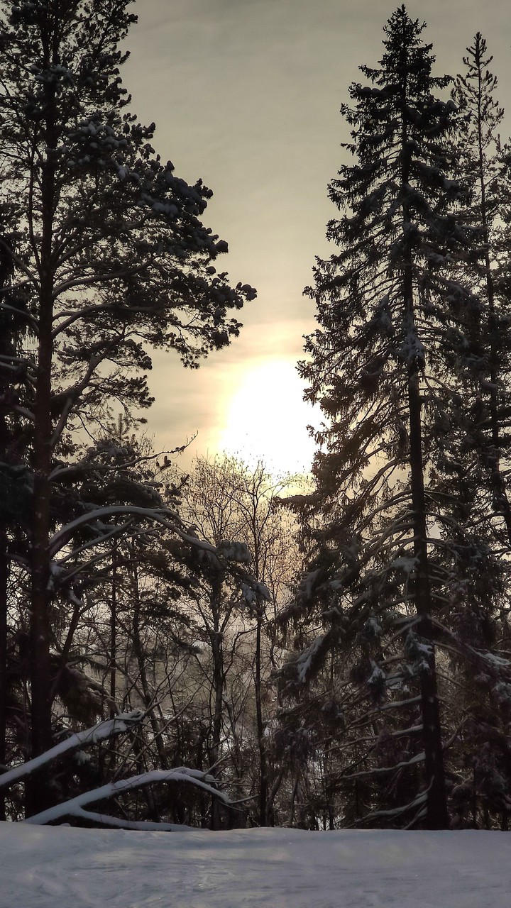 зима