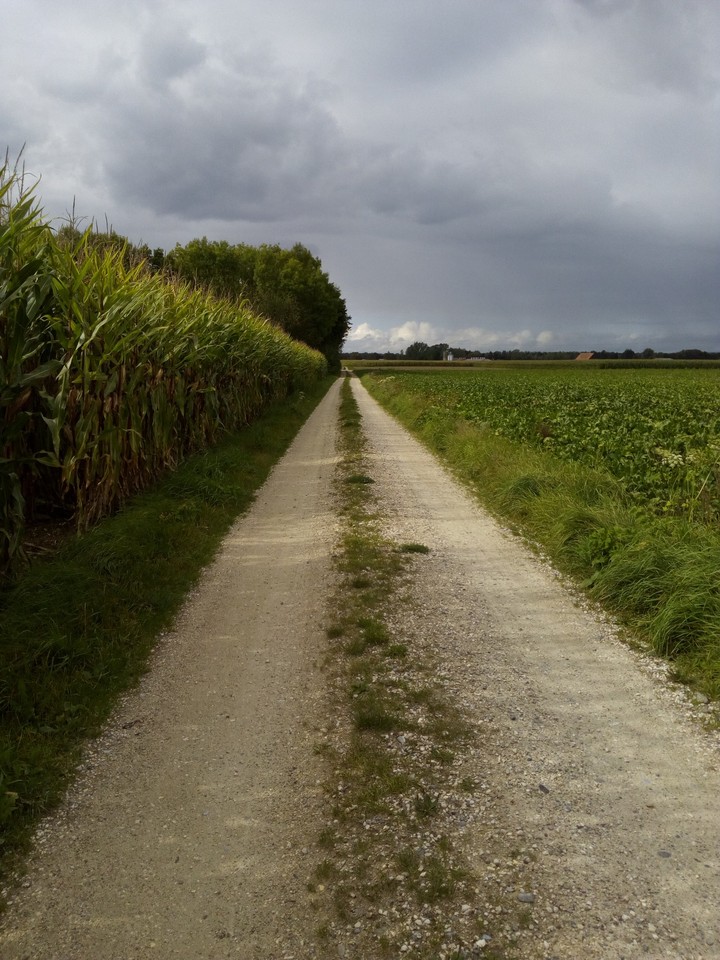 the way to xxx