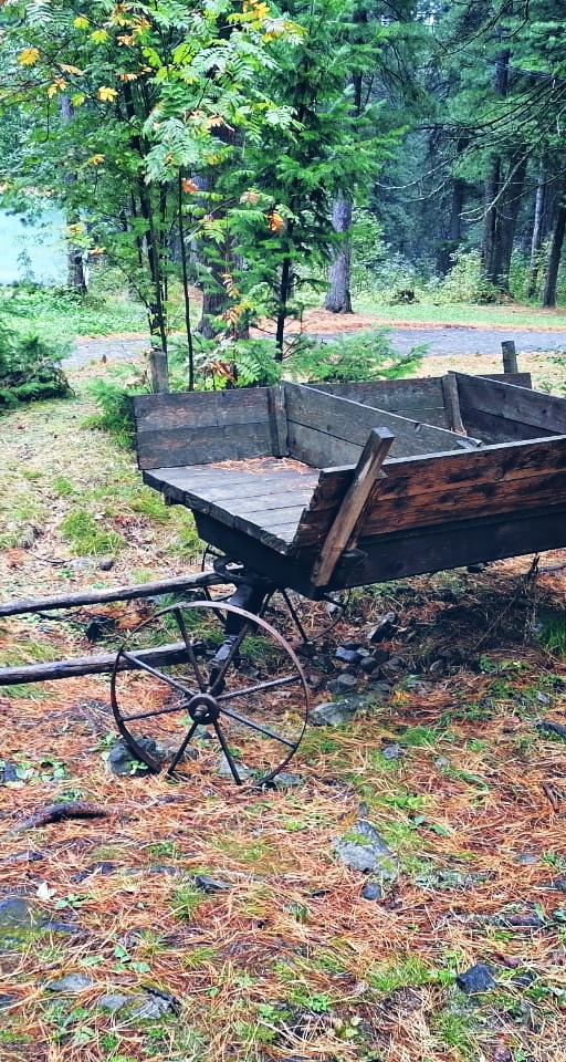 Cart