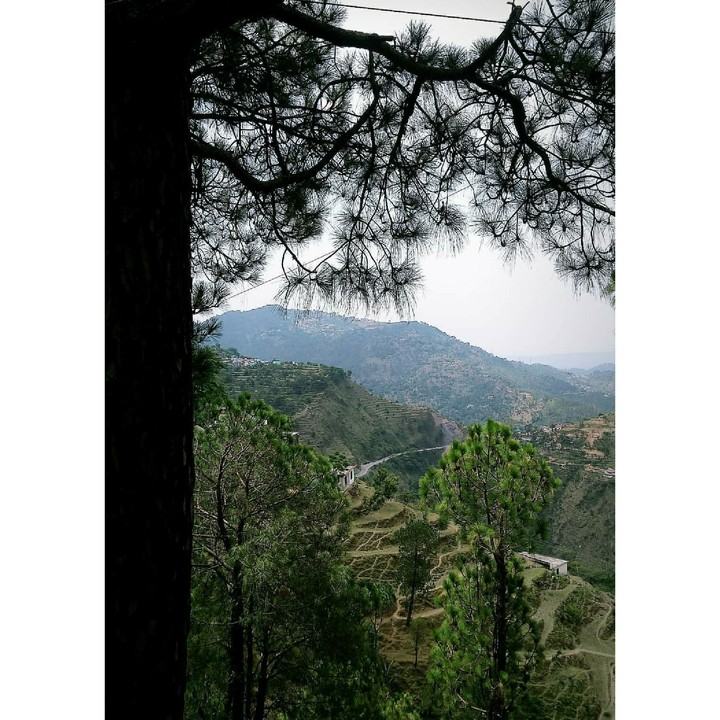 Mountains