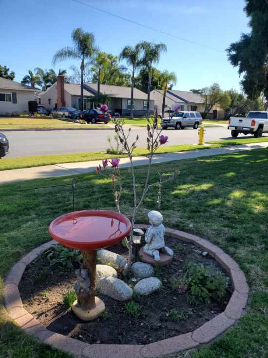 peace in the garden