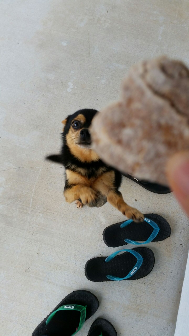 ~Love Treats~ （*＾3＾）/～♡