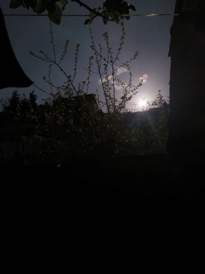 sun