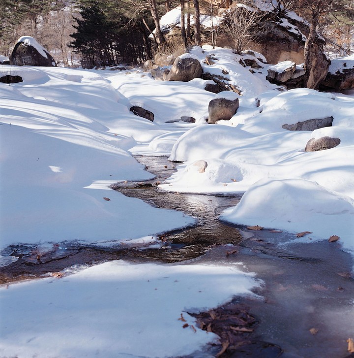 겨울의전경