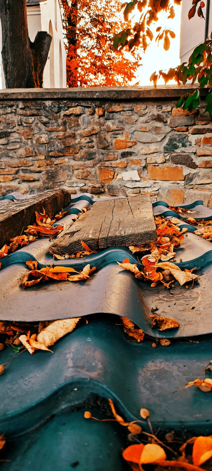 Hello My Dear Autumn...