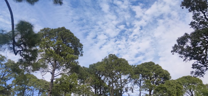 cloudy