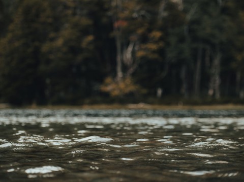 רקעים Fluid, floodplain