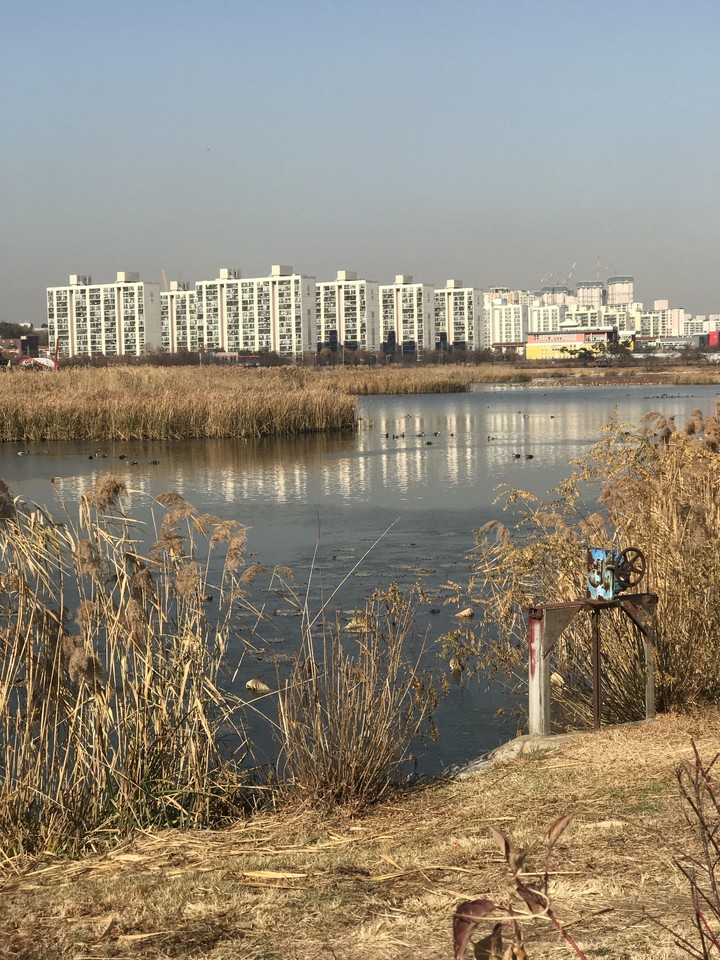 호수공원