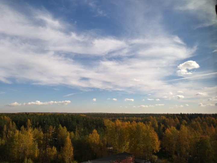 mellow autumn