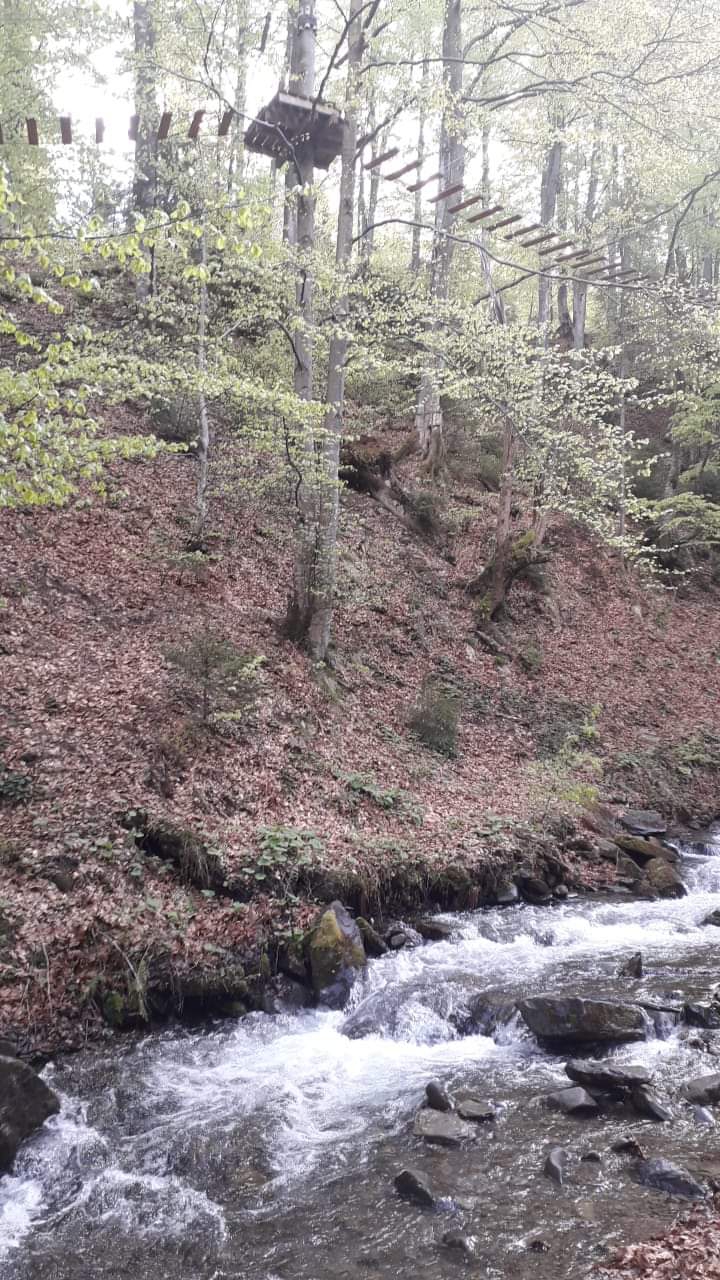 Transcarpathia