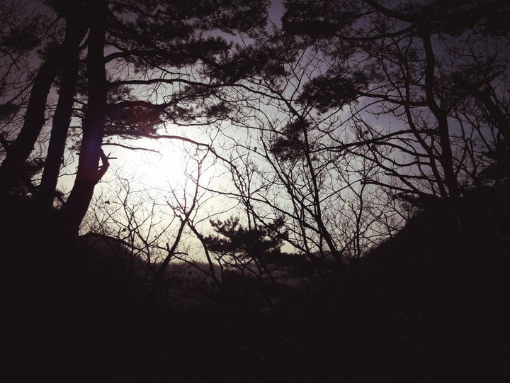 mountain