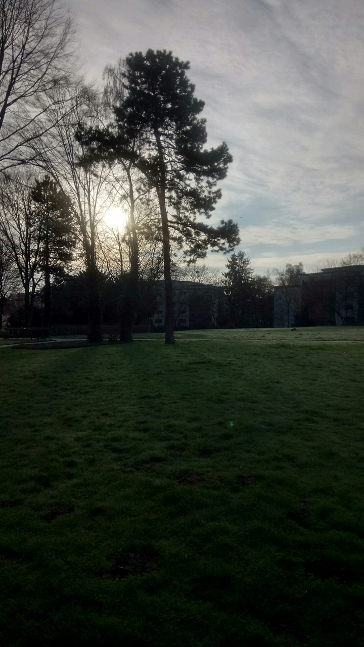 calm park