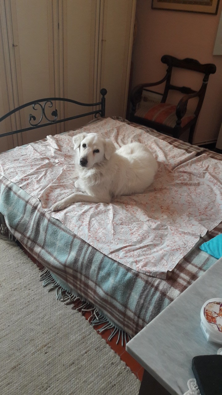princess on the bed